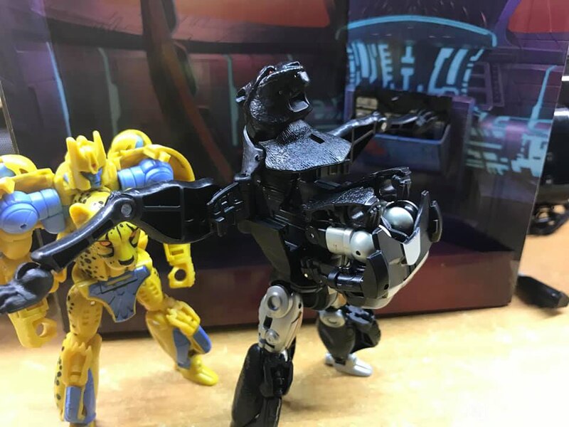 MORE Transformers Agent Ravage Images Cheetor Compared  (51 of 67)